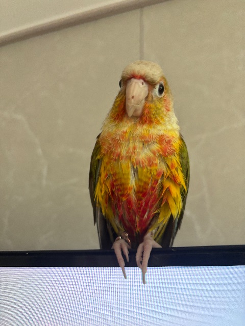 ๐๐